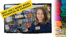 Load image into Gallery viewer, Cover image felting course. A light skinned woman with brown hair and a knitted blue sweater is standin at a booth with yarn and wool for sale. Title reads &quot;Why isn&#39;t more wool produced in Canada?&quot;
